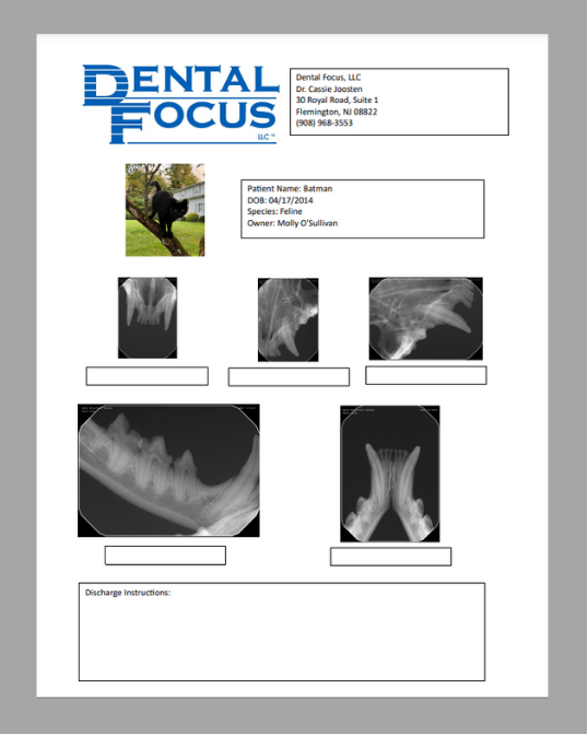 DF Web X-Ray