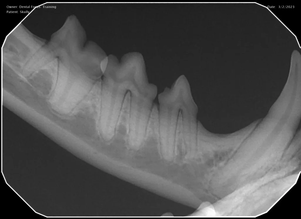 High-Resolution Diagnostic Images