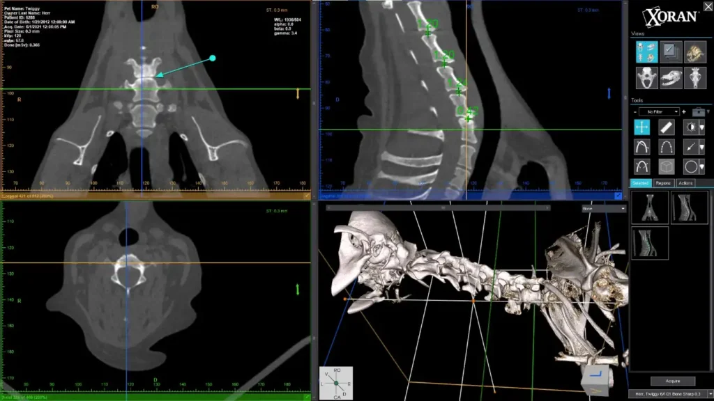 vTron 3d Image