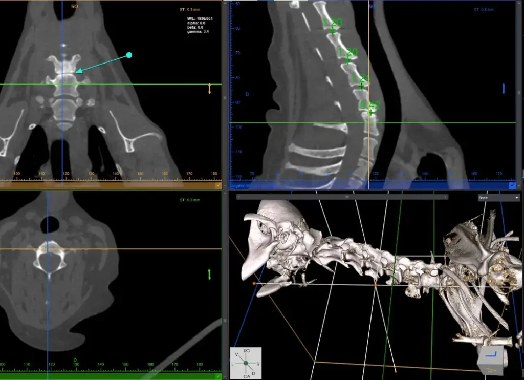 vTron 3d Image