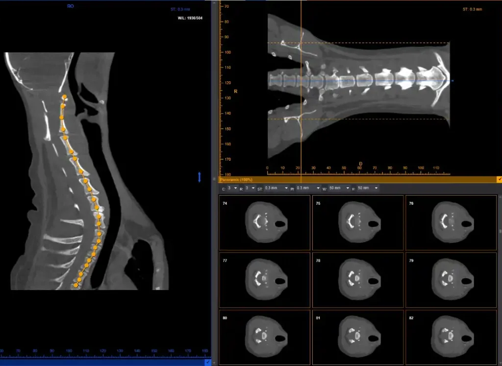 vTron 3d Image