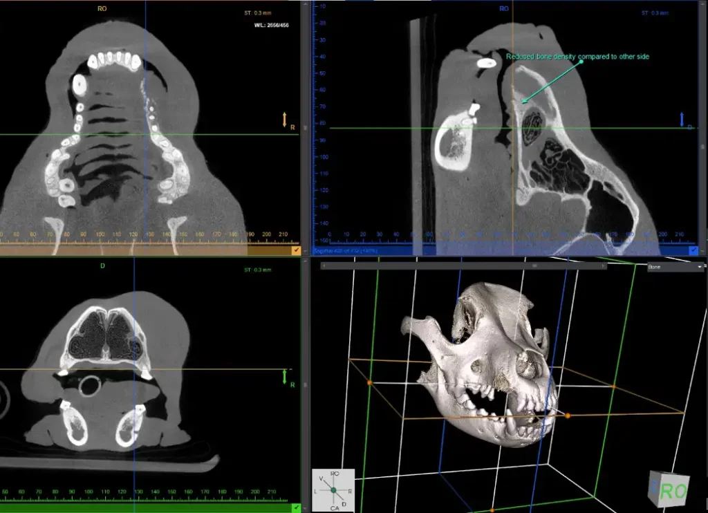 vTron 3d Image