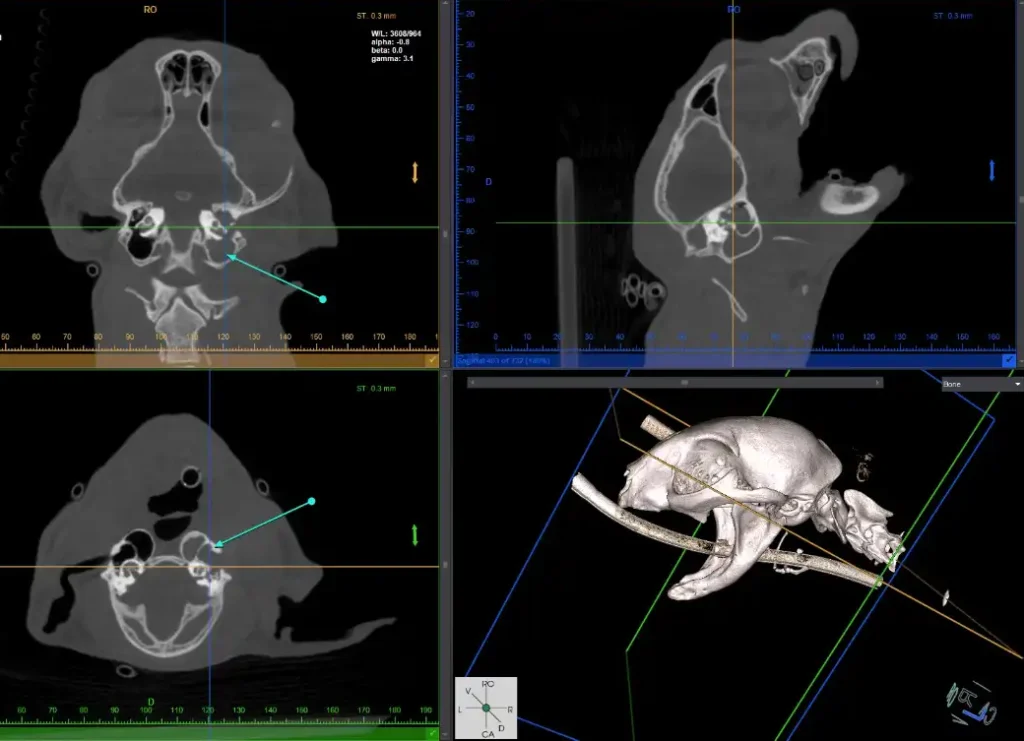 vTron 3d Image