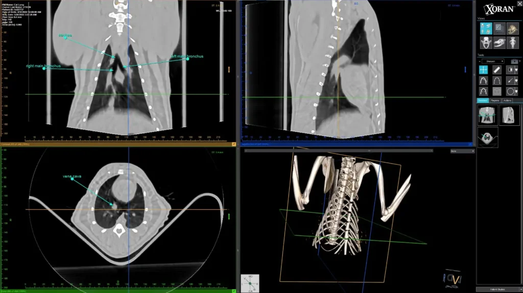 vTron 3d Image