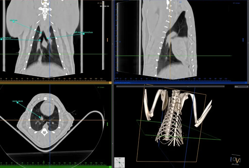 vTron 3d Image