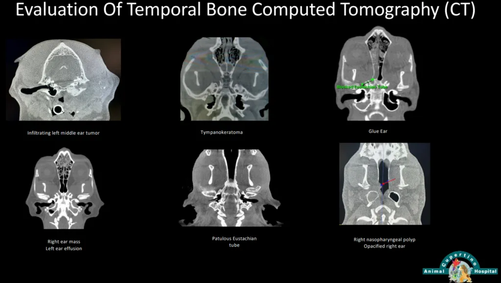 Evaluation-Of-Temporal-Bone-Computed-Tomography-CT-4